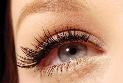 Skin and Beauty: How to Get Perfect Eyebrows and Eyelashes