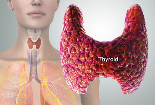 Thyroid: Common Thyroid Problems Explained